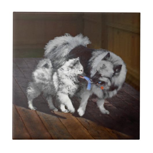 Keeshond Playtime Malerei - Niedliche Original Dog Fliese (Vorderseite)