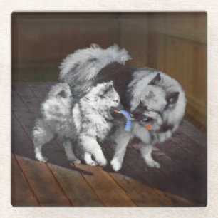 Keeshond Playtime Malerei - Niedliche Original Dog Glasuntersetzer