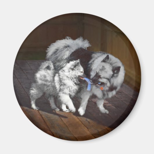 Keeshond Playtime Malerei - Niedliche Original Dog Magnet (Vorne)