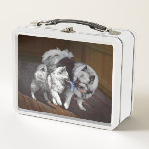Keeshond Playtime Malerei - Niedliche Original Dog Metall Brotdose