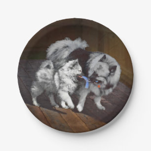 Keeshond Playtime Malerei - Niedliche Original Dog Pappteller