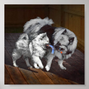 Keeshond Playtime Malerei - Niedliche Original Dog Poster