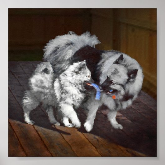 Keeshond Playtime Malerei - Niedliche Original Dog Poster (Vorne)