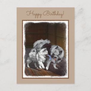 Keeshond Playtime Malerei - Niedliche Original Dog Postkarte