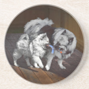 Keeshond Playtime Malerei - Niedliche Original Dog Sandstein Untersetzer