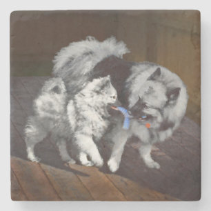 Keeshond Playtime Malerei - Niedliche Original Dog Steinuntersetzer