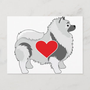 Keeshond Postkarte