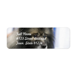 Keeshond-Postsendung-Aufkleber