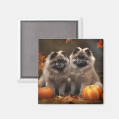 Keeshond Puppy Autumn Delight Pumpkin Magnet (Vorderseite/Rückseite)