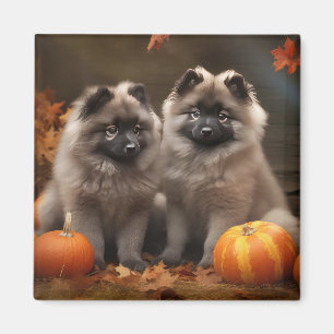 Keeshond Puppy Autumn Delight Pumpkin Magnet