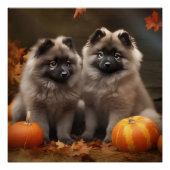 Keeshond Puppy Autumn Delight Pumpkin Poster (Vorderseite)