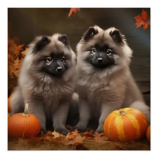 Keeshond Puppy Autumn Delight Pumpkin Poster (Vorderseite)