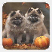 Keeshond Puppy Autumn Delight Pumpkin Quadratischer Aufkleber (Vorderseite)