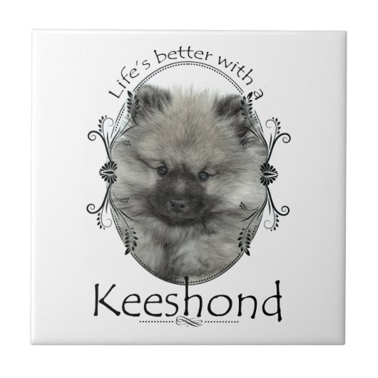 Keeshond Puppy Keramik Tile Fliese (Vorderseite)