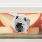 Keeshond Puppy Zeichnend - Niedliche Original Hund Etiketten (Befestigt)