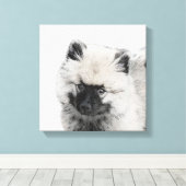 Keeshond Puppy Zeichnend - Niedliche Original Hund Leinwanddruck (Insitu (Holzboden))