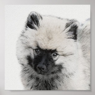 Keeshond Puppy Zeichnend - Niedliche Original Hund Poster