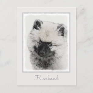 Keeshond Puppy Zeichnend - Niedliche Original Hund Postkarte