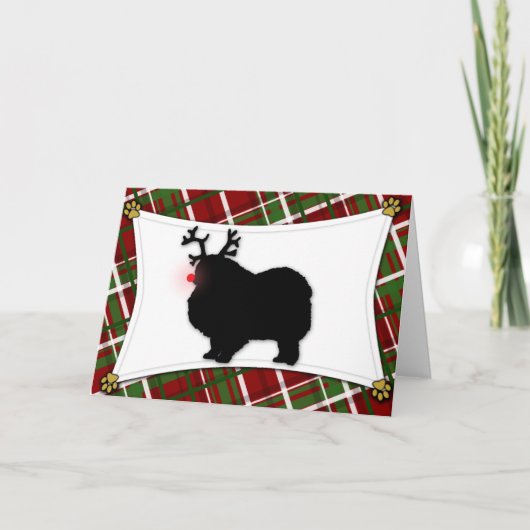 Keeshond-Ren-Weihnachtskarte Feiertagskarte (Vorderseite)