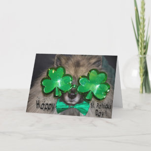 Keeshond-St Patrick Tageskarte Karte