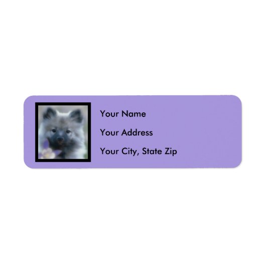 Keeshond und Columbine - Hundfoto (Vorne)