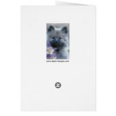 Keeshond und Columbine - Hundfoto (Hinten)