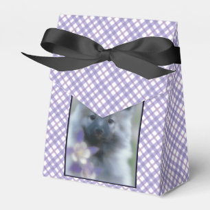 Keeshond und Columbine - Hundfoto Geschenkschachtel