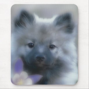 Keeshond und Columbine - Hundfoto Mousepad