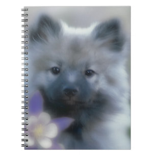 Keeshond und Columbine - Hundfoto Notizblock