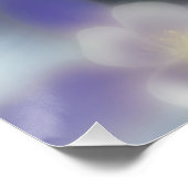 Keeshond und Columbine - Hundfoto Poster (Ecke)