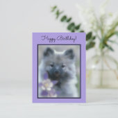 Keeshond und Columbine - Hundfoto Postkarte (Stehend Vorderseite)