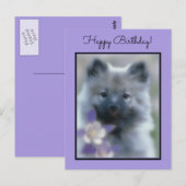 Keeshond und Columbine - Hundfoto Postkarte (Vorne/Hinten)