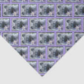 Keeshond und Columbine - Hundfoto Seidenpapier (Ausschnitt)