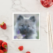 Keeshond und Columbine - Hundfoto Serviette (Beispiel)