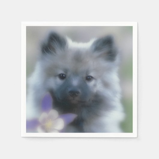 Keeshond und Columbine - Hundfoto Serviette (Vorderseite)