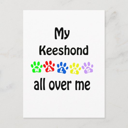 Keeshond Walks Design Postkarte (Vorderseite)