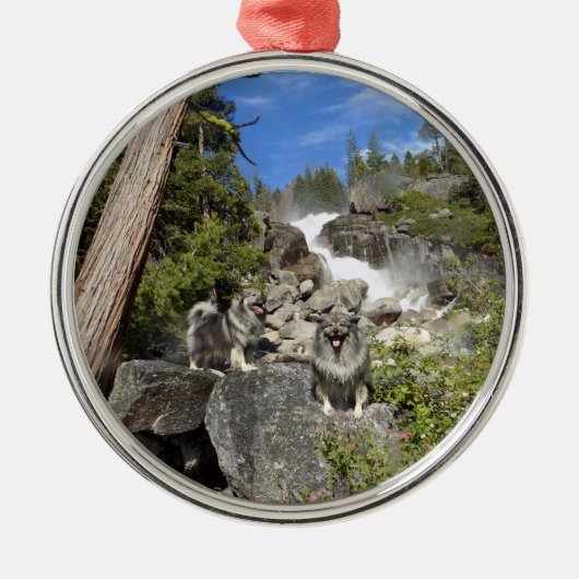 Keeshond-Wasserfall-Verzierung Silbernes Ornament (Vorne)