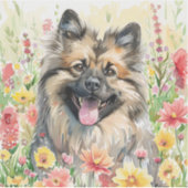 Keeshond-Wasserfarben-Aufkleber Aufkleber (Vorderseite)
