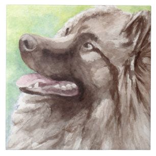 Keeshond Watercolor Portrait Fliese