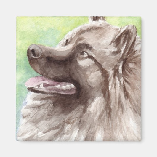Keeshond Watercolor Portrait Magnet (Vorne)