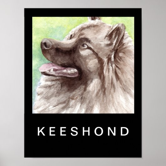 Keeshond Watercolor Portrait Poster (Vorne)