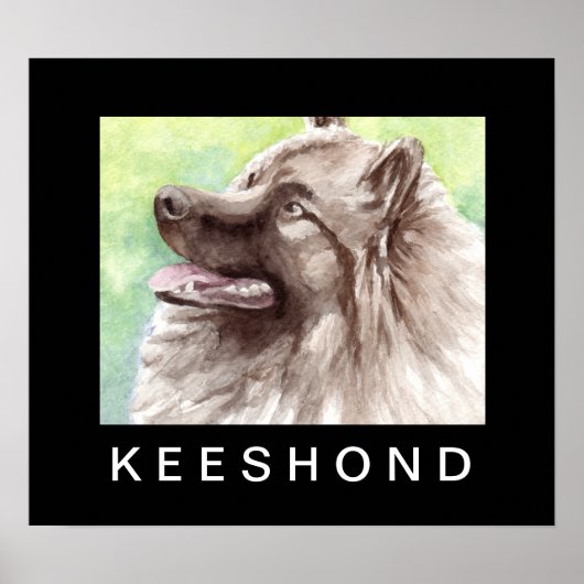 Keeshond Watercolor Portrait Poster (Vorne)