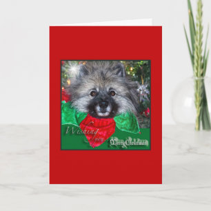 Keeshond-Weihnachtskarte Feiertagskarte
