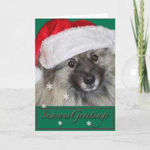 Keeshond-Weihnachtskarte Feiertagskarte