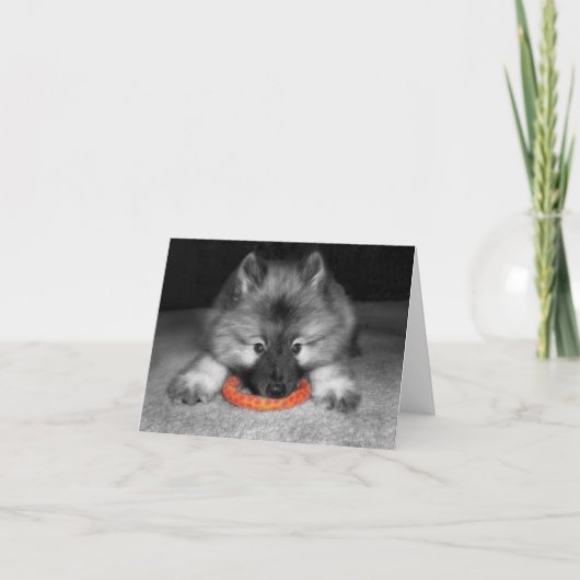 Keeshond-Welpen-Anmerkungs-Karte Karte (Vorderseite)