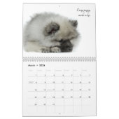 Keeshond-Welpen-Kalender Kalender (Mär 2026)