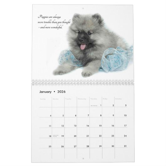 Keeshond-Welpen-Kalender Kalender (Jan 2026)