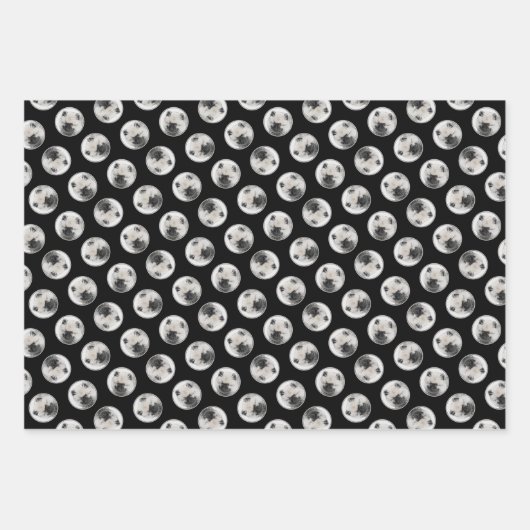 Keeshond Zeichnend Schlüssel Welpe Niedlich Origin Geschenkpapier Set (Vorderseite 3)