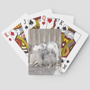 Keeshonds am Tor Gemälde - Original-Hundekunst Spielkarten