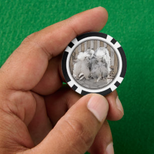 Keeshonds am Tor Gemälde - Originale Hundekunst Pokerchips